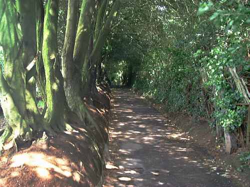 Los Altos Park, Sandown