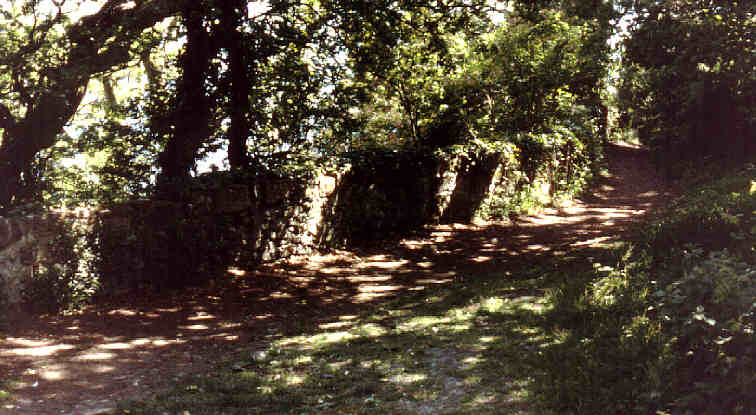 Photo of Landslip, Bonchurch