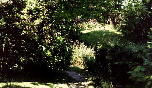 Photo of Landslip, Bonchurch