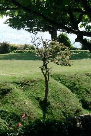 Sandown Battery Gardens