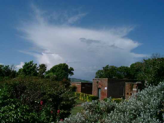 Sandown Battery Gardens