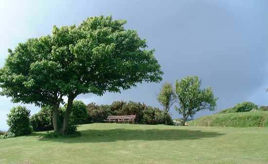 Sandown Battery Gardens