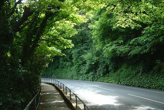 Bonchurch, Isle of Wight