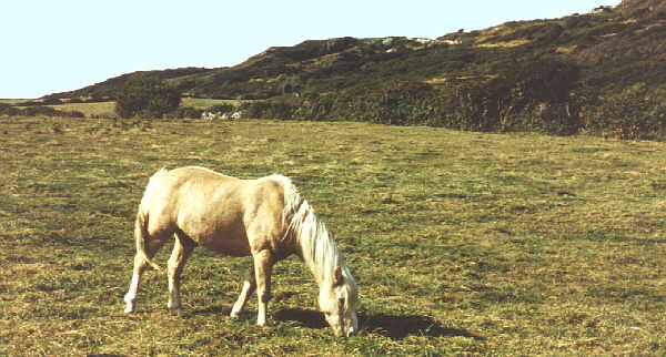 Near St Catherines