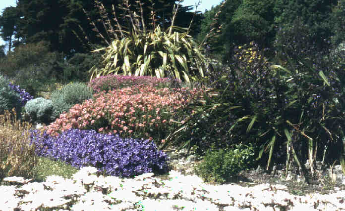 Ventnor Botanic Garden