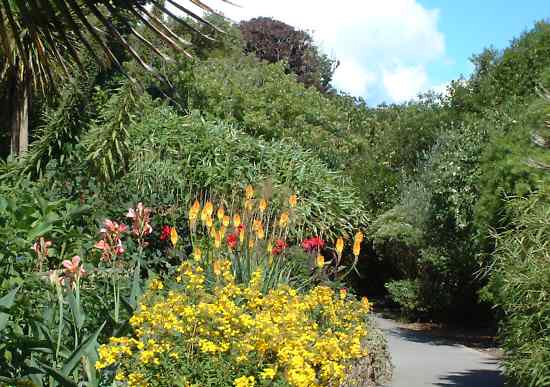 Ventnor Botanic Garden