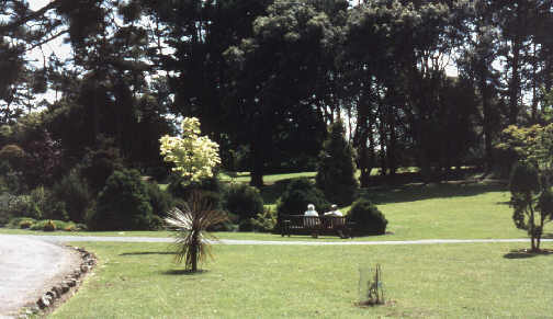 Ventnor Botanic Garden