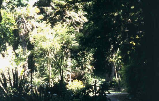 Ventnor Botanic Garden