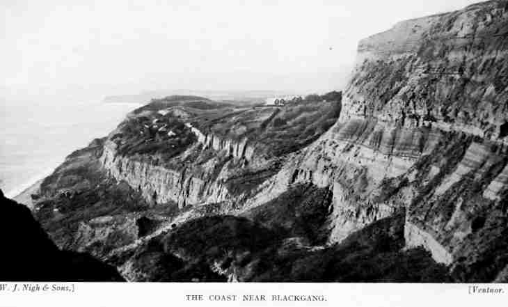 The cliffs near Blackgang
