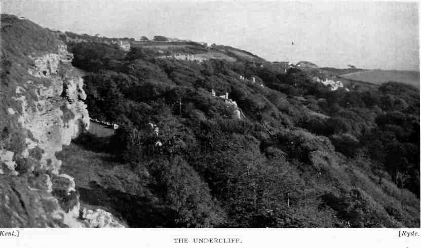 A view of the enchanting undercliff - close to where the railway painting on the main 'undercliff' page would be