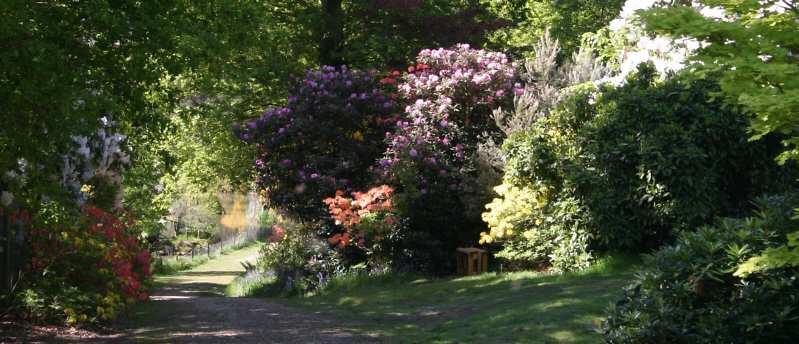 Click here to begin your tour of Leonardslee Garden