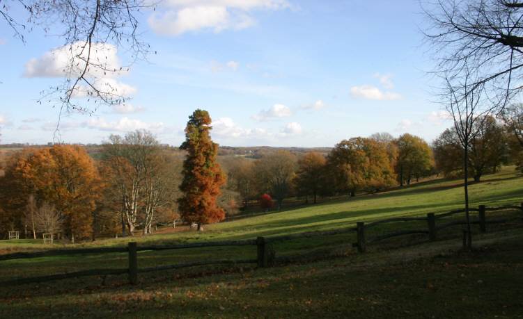 Autumn at Nymans