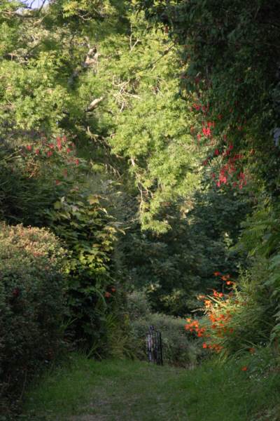 exciting garden path