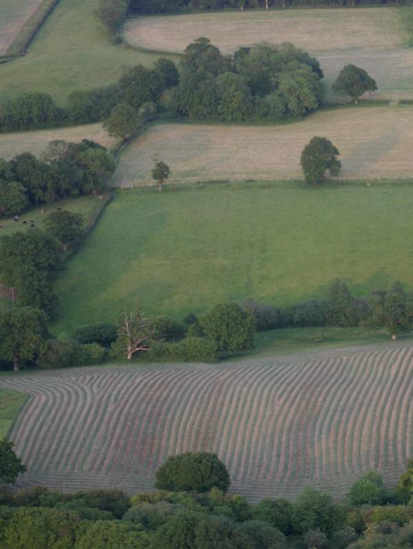 Fields from a hot air balloon