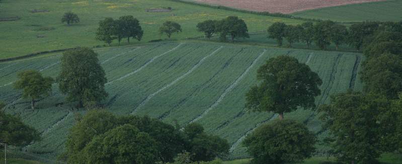 Fields from the air