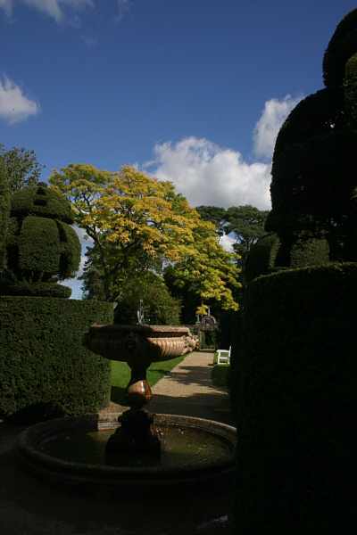 Nymans garden