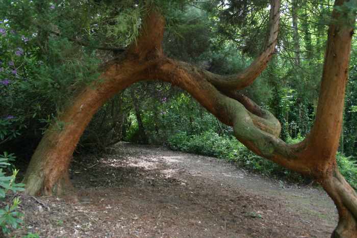 Herstmonceux castle garden