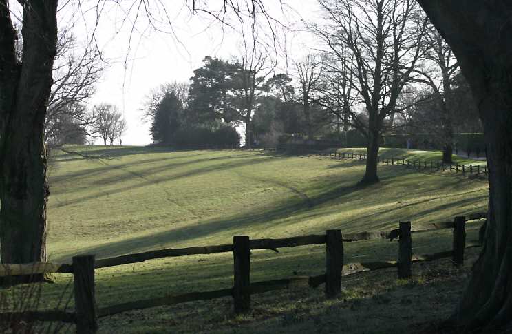 Nymans garden