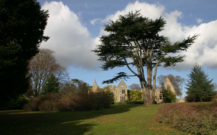 Nymans Garden