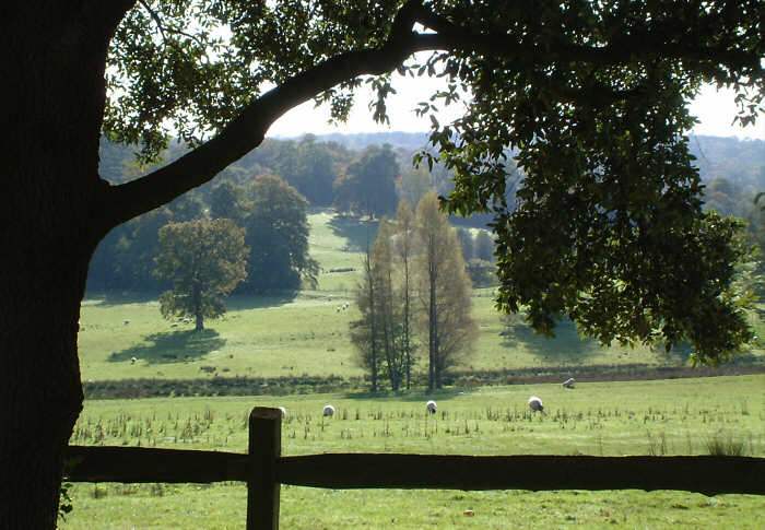 Sussex countryside