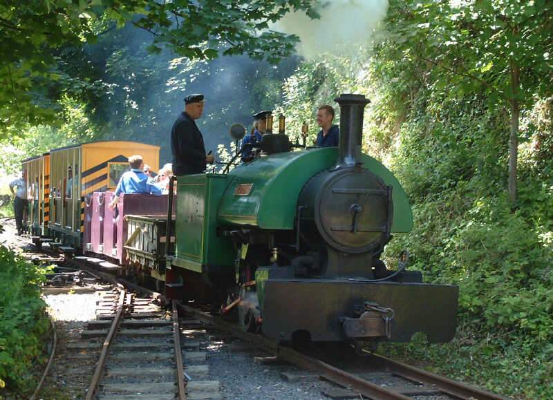 Narrow guage railway, Amberley