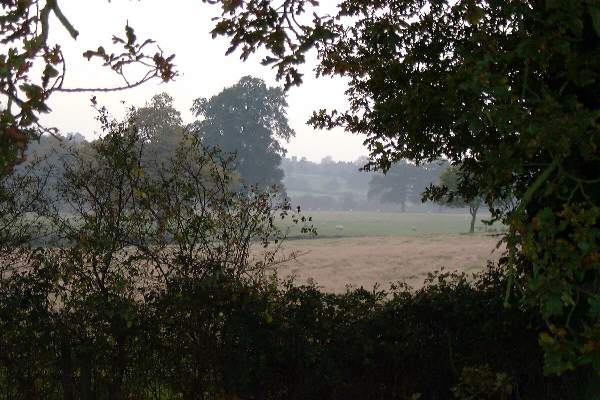Autumn in Sissinghurst