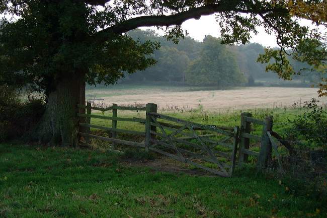 Autumn in Sissinghurst