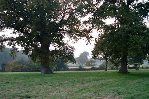 Autumn in Sissinghurst