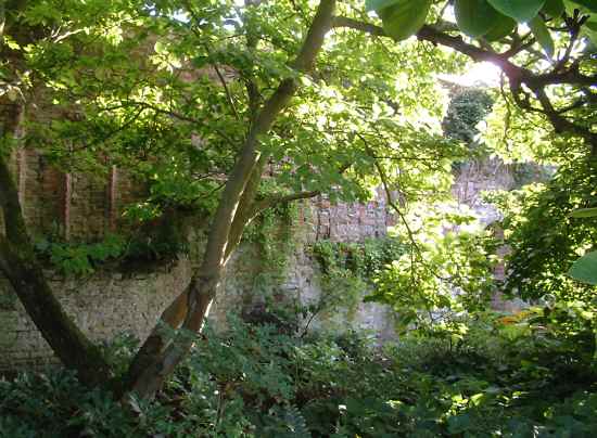 The NW corner of Orchard