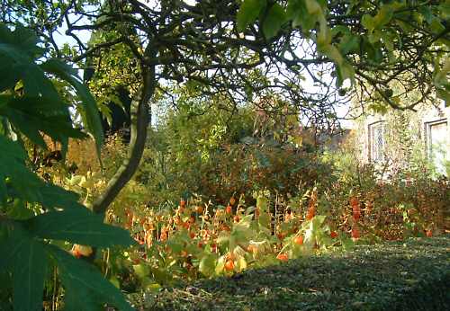 Cottage Garden in Autumn