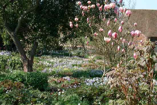 delos towards white garden