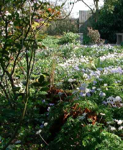 delos towards white garden