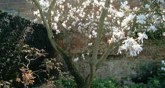 delos towards white garden
