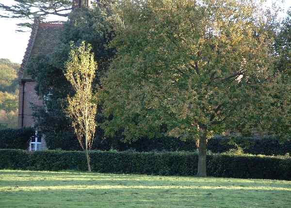 Autumn in Sissinghurst