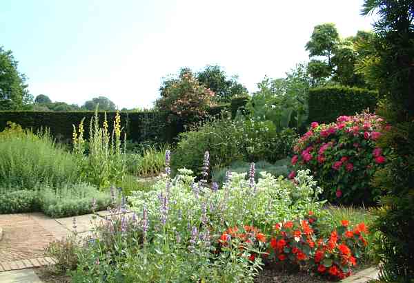 Herb garden in June