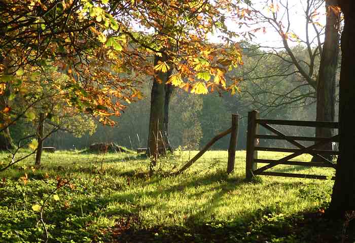 Autumn in Sissinghurst