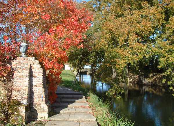 The Orchard in Autumn