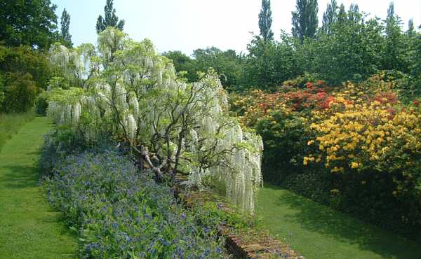 moat walk and Azalea Bank