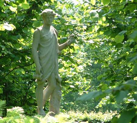 statue in the nuttery