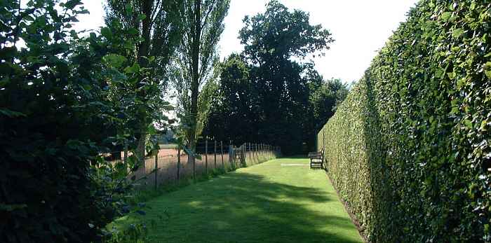 adjecent to the nuttery