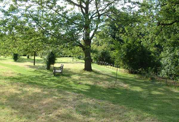 The Orchard in Spring