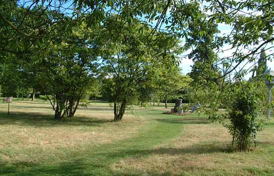 The Orchard in Spring
