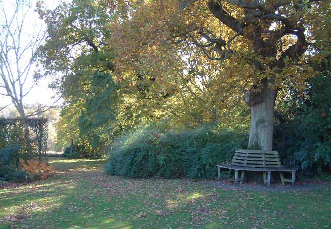 Rose garden in Autumn