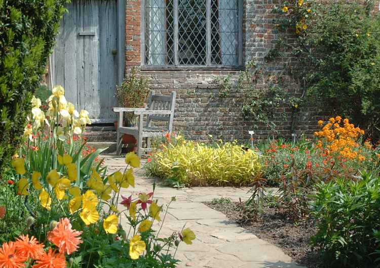 Harold's chair in the sun.