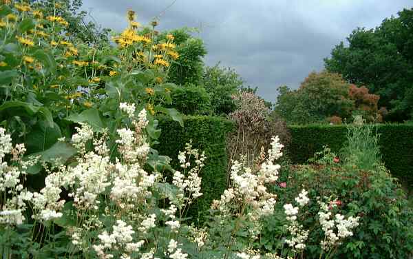 Storm clouds gather over the herb garden