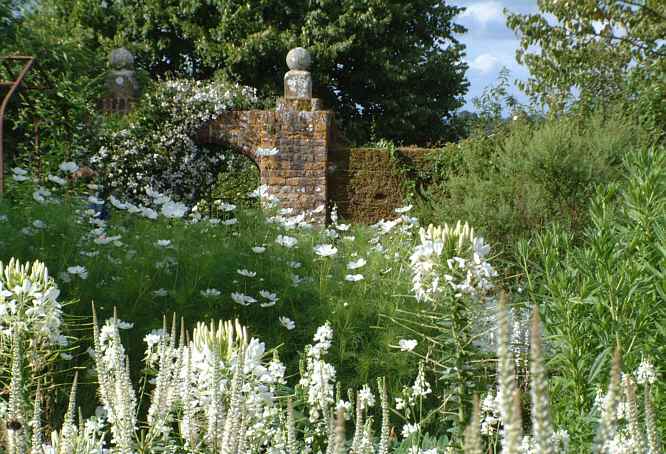 jardín blanco