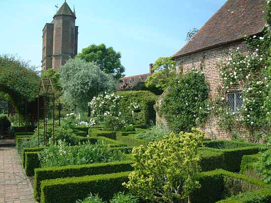 white garden in August