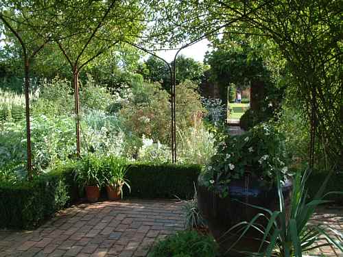 white garden in August