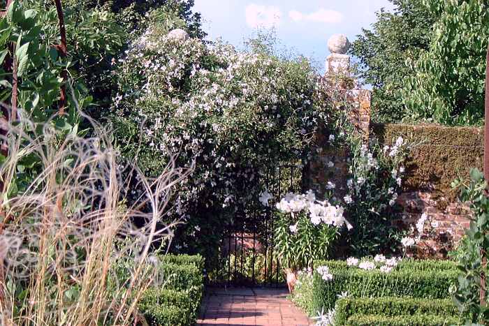 white garden