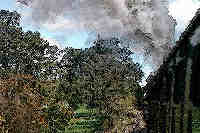 Click for a better view of this transport graphic